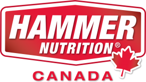 Canada Hammer Logo